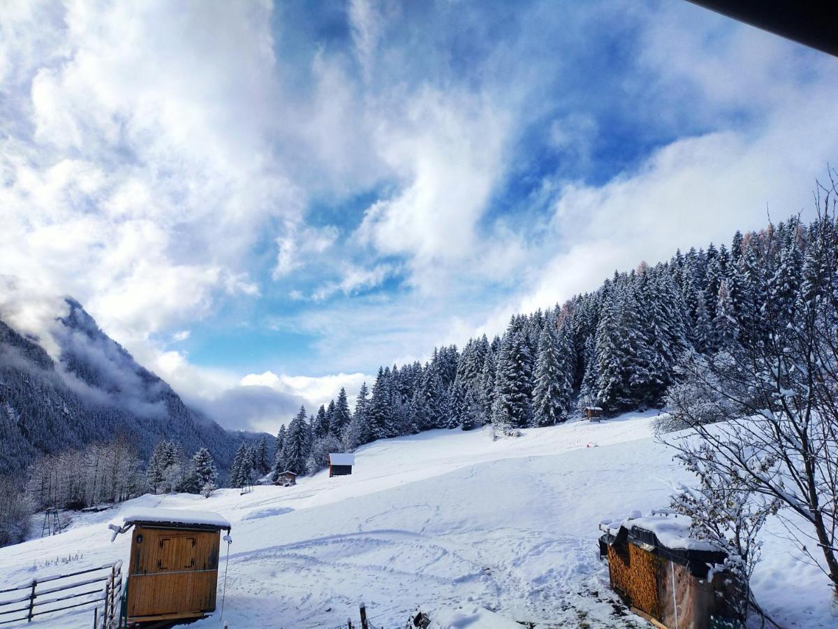 Cesa Cherpei - Dog Friendly Campitello di Fassa Exterior foto