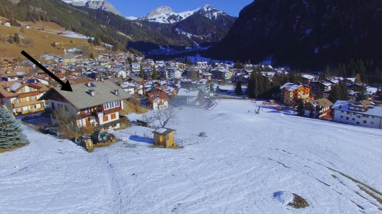 Cesa Cherpei - Dog Friendly Campitello di Fassa Exterior foto