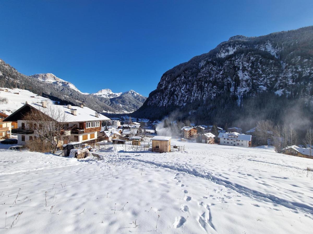 Cesa Cherpei - Dog Friendly Campitello di Fassa Exterior foto