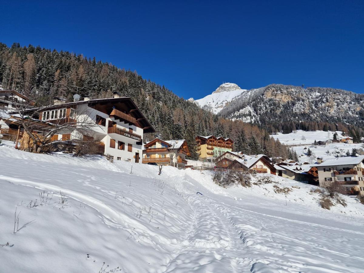 Cesa Cherpei - Dog Friendly Campitello di Fassa Exterior foto